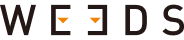 Logo 13
